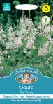 Gaura The Bride