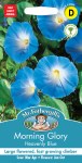 Morning Glory Heavenly Blue