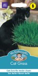 Cat Grass