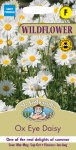 Ox Eye Daisy (Wildflower)