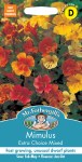 Mimulus Extra Choice Mixed