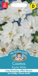 Cosmos Psyche White
