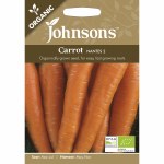 Carrot nantes 2 Organic