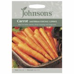 Carrot Amsterdam Forcing 3 Sprint