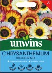 Chrysanthemum Tricolor Mix