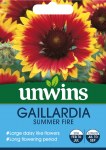 Gaillardia Summer Fire