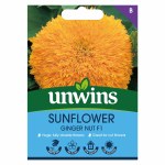 Sunflower Ginger Nut F1