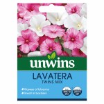 Lavatera Twins Mix