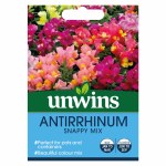 Antirrhinum 'Snappy' Mix
