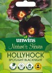 Nature's Haven Hollyhock Spotlight Blacknight