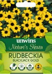 Nature's Haven Rudbeckia Blackjack Gold