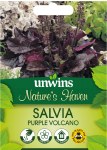 Nature's Haven Salvia Purple Volcano