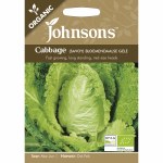 Cabbage (Savoy) Bloemendaalse Gele