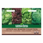 Lettuce All Season Collection