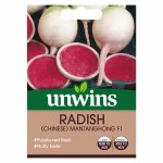 Radish Mantanghong F1