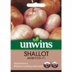 Shallot Ambition F1
