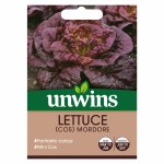 Lettuce (Cos) Mordore