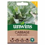 Cabbage (Spring Greens) Winter