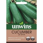 Cucumber (Mini) La Diva F1
