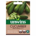 Cucumber (Mini) Mini Muncher F