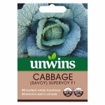 Cabbage Savoy Supervoy F1