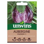 Aubergine Pinstripe F1