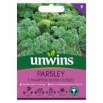 Parsley 'Champion Moss Curled'