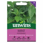 Herb Peppermint