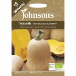 Squash (Winter) Early Butternut