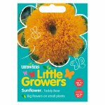 Little Growers Sunflower Teddy