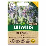 Herb Borage Blue Organic