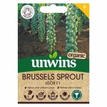Brussels Sprout Igor F1 (Organ