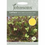 Lettuce Red & Green Salad Bowl