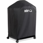 Weber Q2200N & Cart Cover