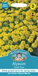 Alyssum Gold Dust