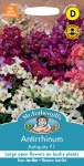 Antirrhinum Antiquity F1