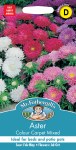 Aster Colour Carpet Mixed