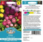 Aster Milady Mixed