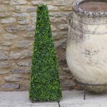 Boxwood Obelisk 60cm