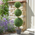 Trio Topiary Tree 80cm