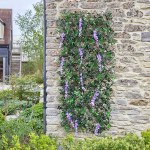 Smart Wisteria 1.8x.6m Trellis