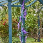 Smart Wisteria Garland 180cm