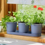 Windowsill Herb Pots - Slate