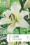 Lilium Pretty Woman