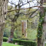 Original Squirrel Proof Seed Feeder