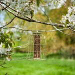 Original Squirrel Proof Peanut Feeder