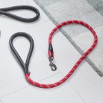 Primo - Ruby Walkabout Reflective Dog Lead 120cm