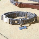 Country - Slate - Small - Walkabout Dog Collar
 (23-36cm)