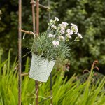 Smart 6" Hanging Pot Fern Sage
