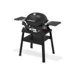 Weber Q1200N with Stand